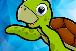  Sea Turtle Lucas