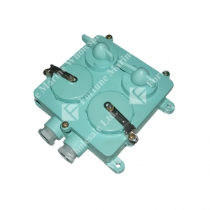 792832 W.T. 3 Pins Twin Receptacle with Twin Switch