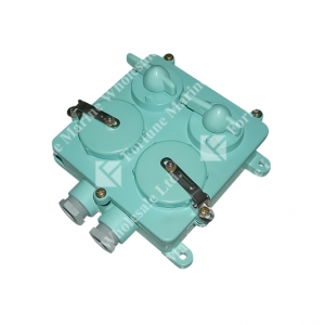 792832 W.T. 3 Pins Twin Receptacle with Twin Switch